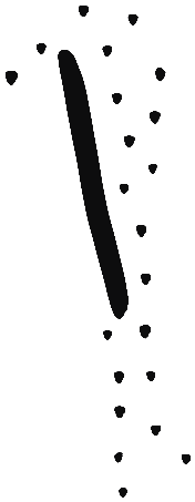 Image of the occurrence